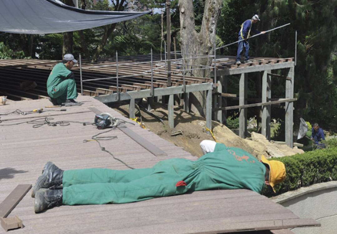 ¿Quiénes Somos? -Nuestro equipo de trabajo