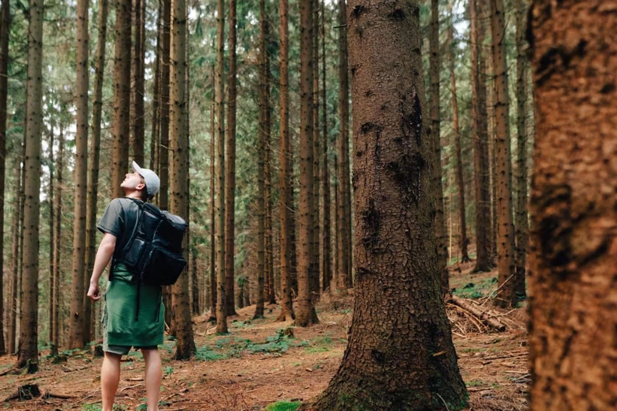 Por qué poner un valor monetario a los recursos naturales