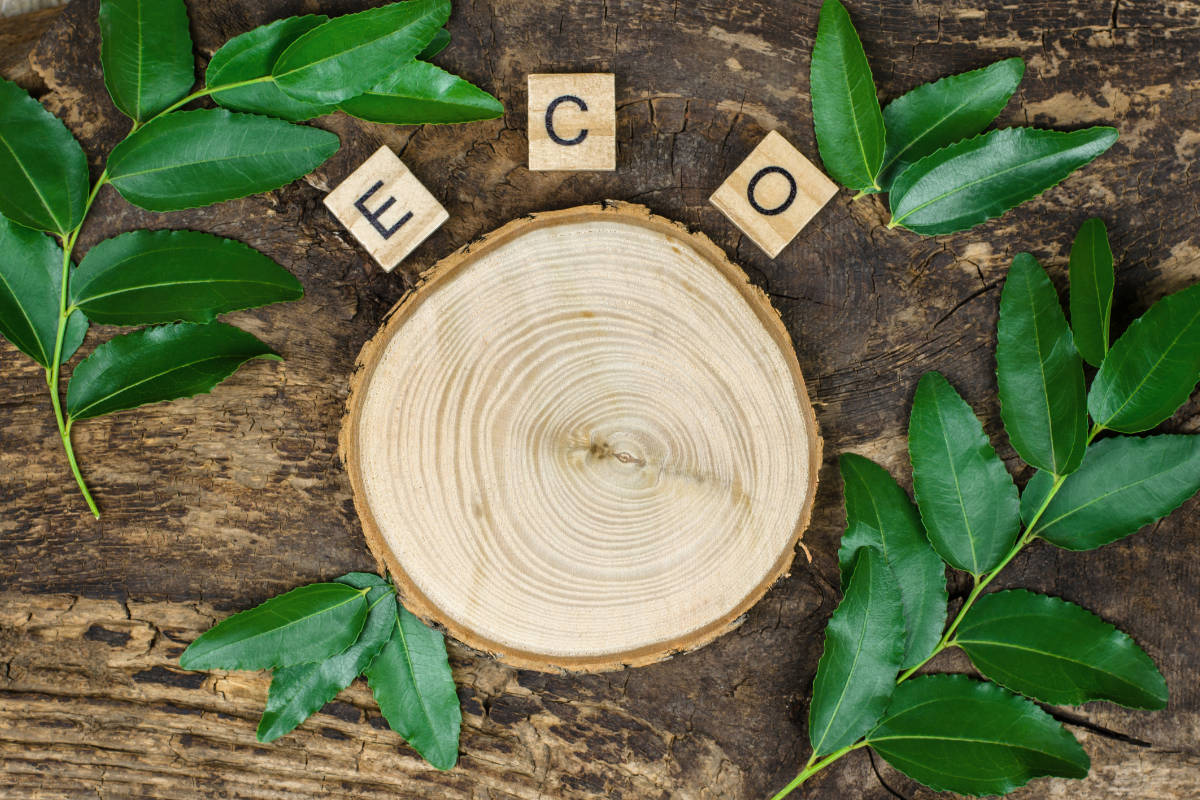 Construcción responsable: la madera ecológica como aliada del medio ambiente