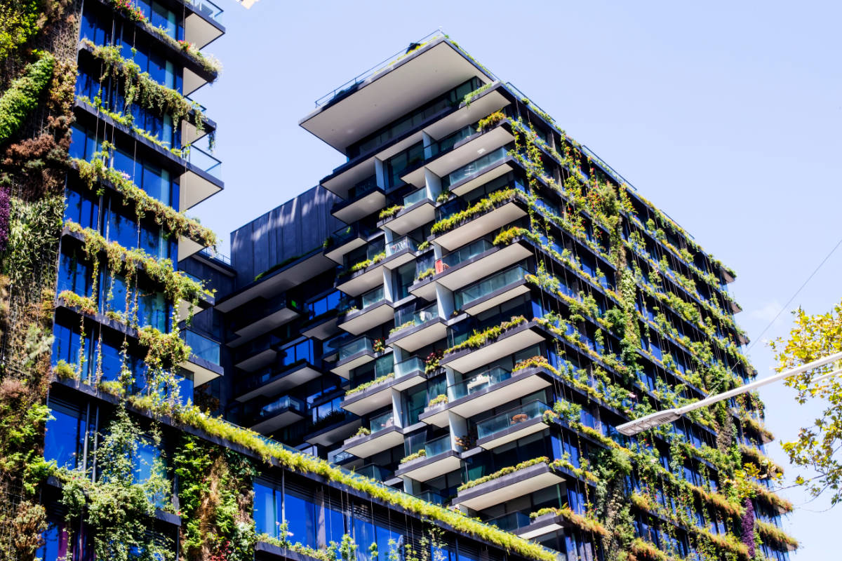 Cómo crear ciudades positivas para la naturaleza más allá de los espacios verdes