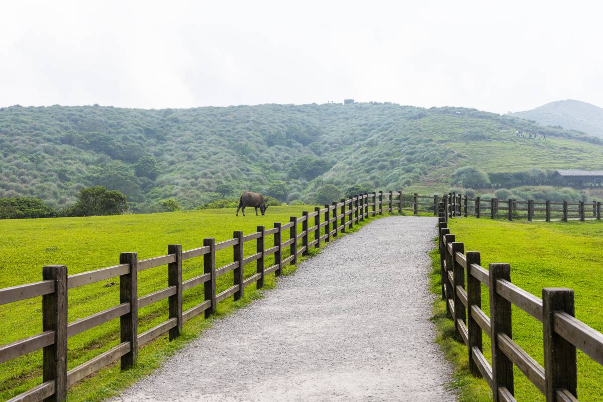 Uso de madera plástica en proyectos rurales y agroindustriales